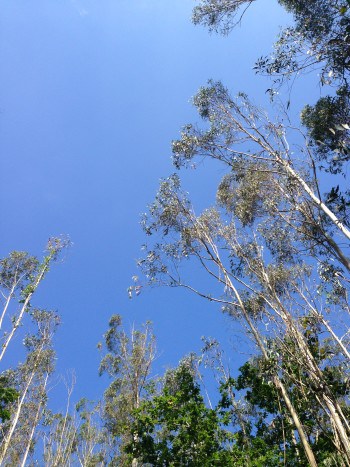 tolles Wetter, blauer Himmel, Jakobsweg