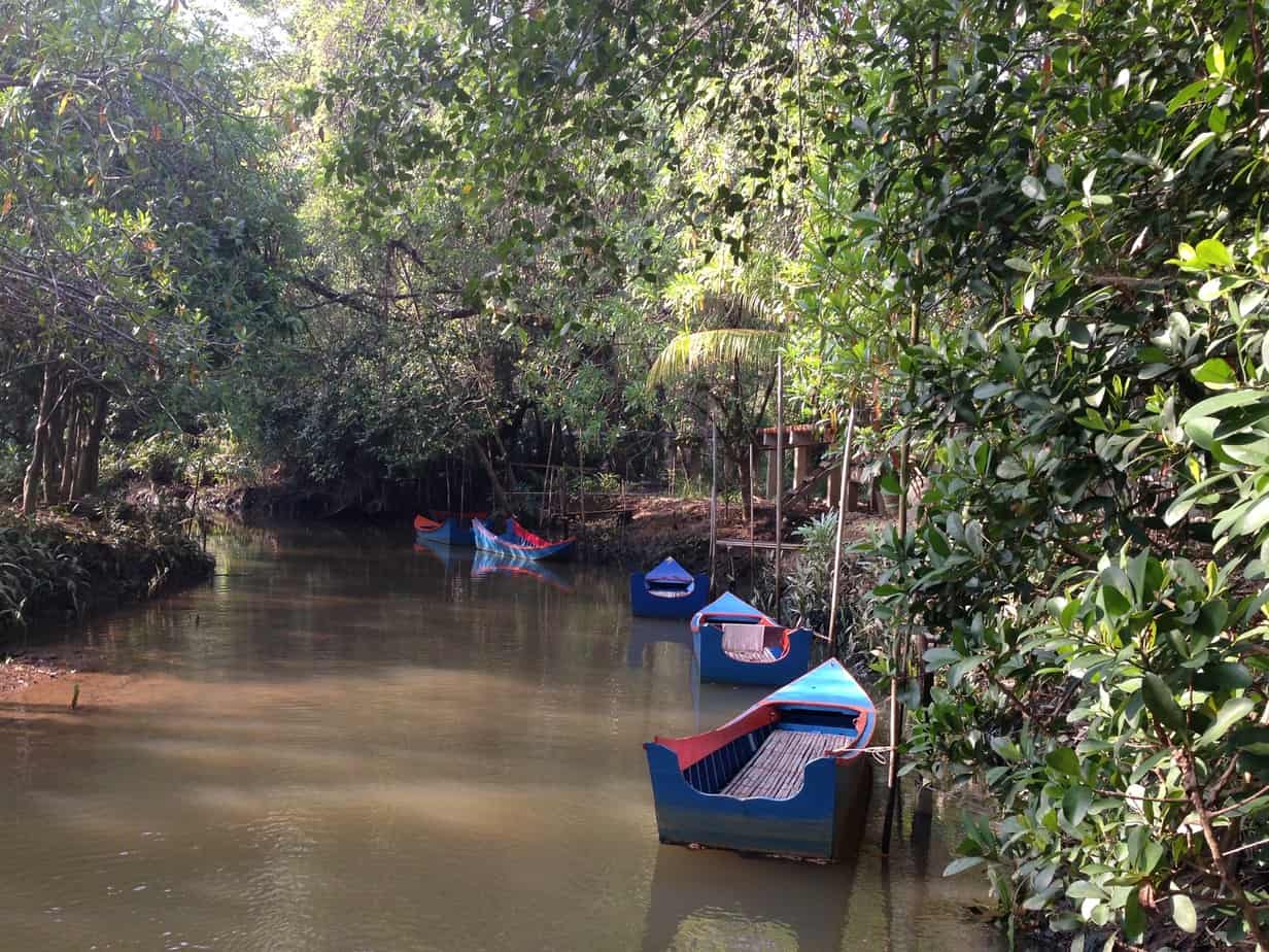 Little Amazonas Takuapa