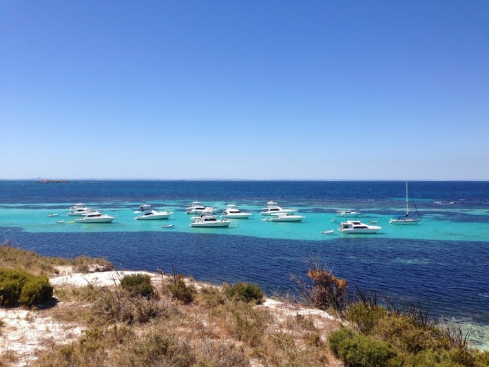 Rottnest Island 