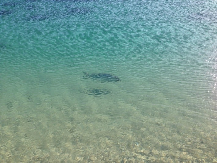 Coral Bay