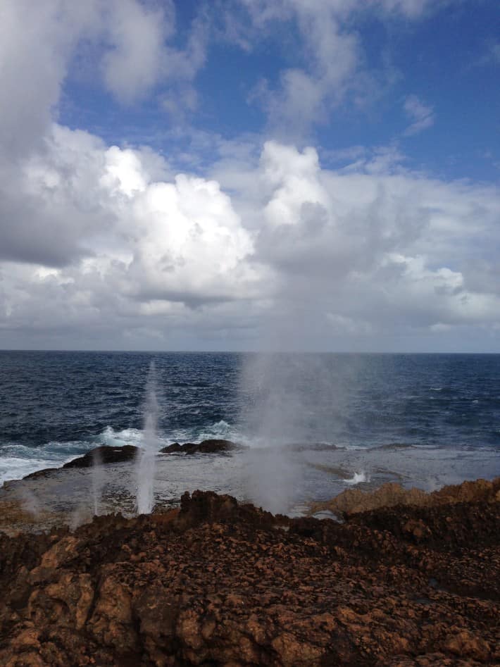 Blow Holes
