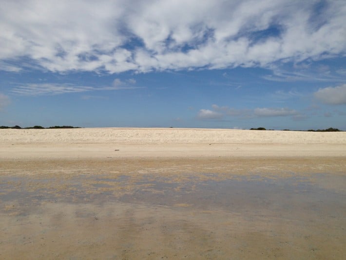 Shell Beach 