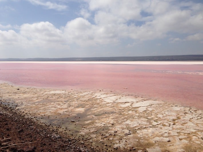 pink lake