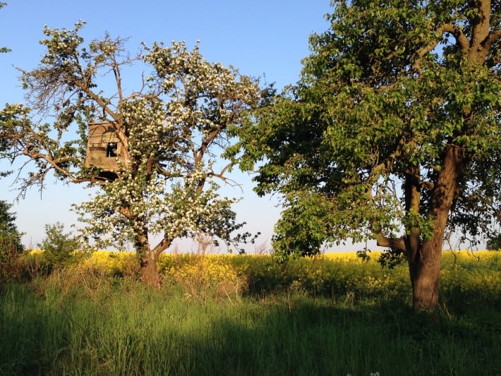 Weg zum Peene Idyll