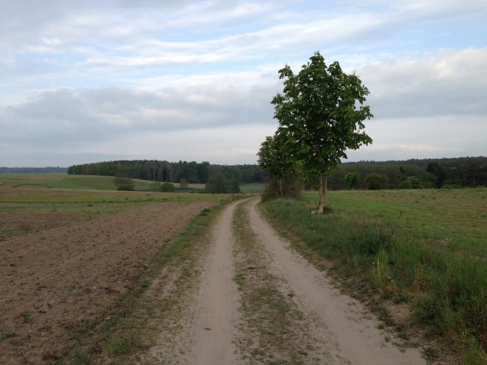 Feldweg bei Kemnitz