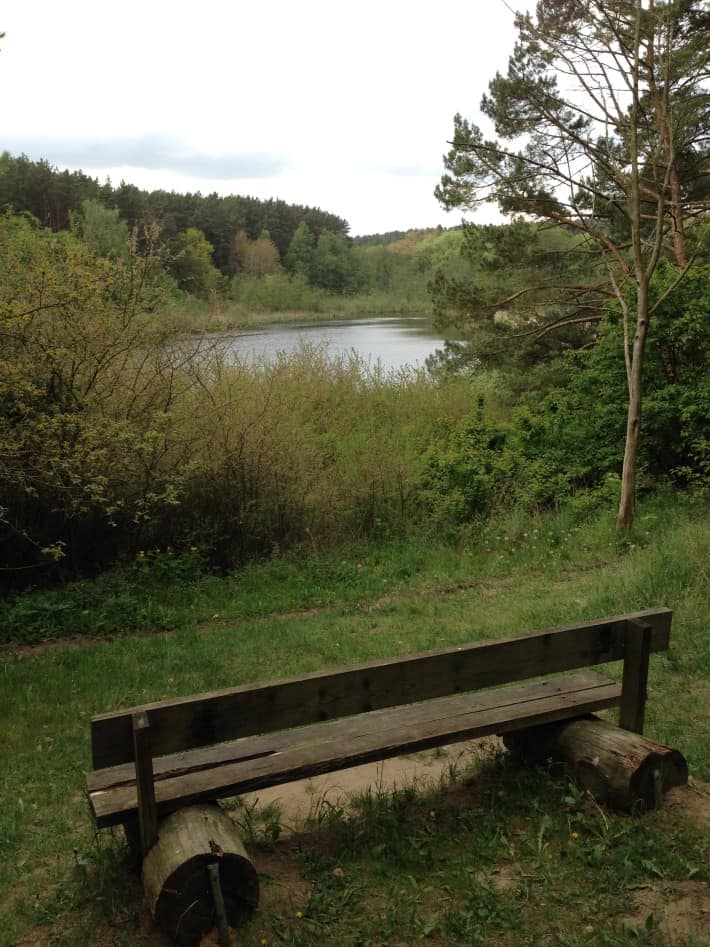 schöne Bank am Teich