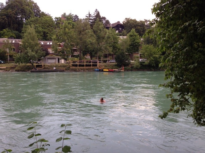 Schwimmer Aare 