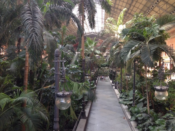 Palmengarten im Atocha Bahnhof Madrid