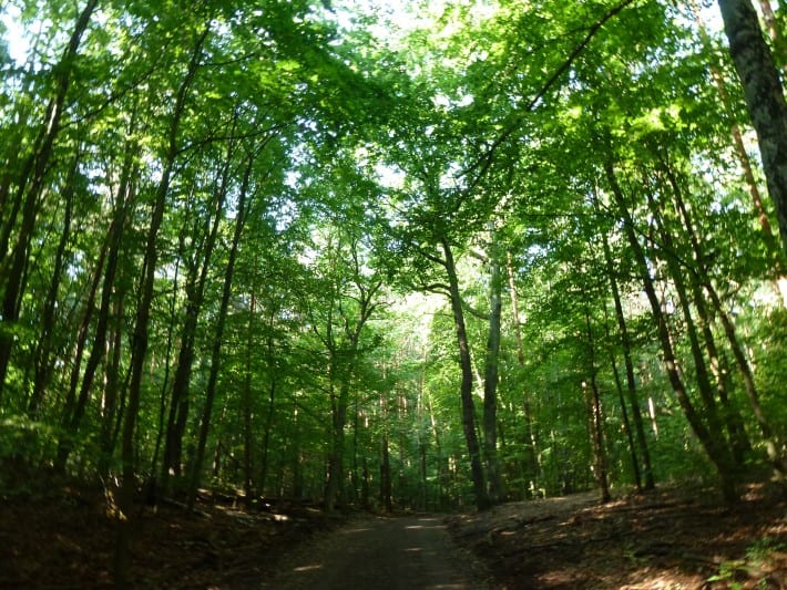 Wanderung um den Tegeler See