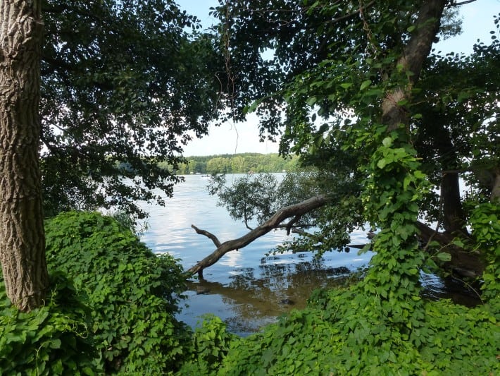 Blick auf den Tegeler See