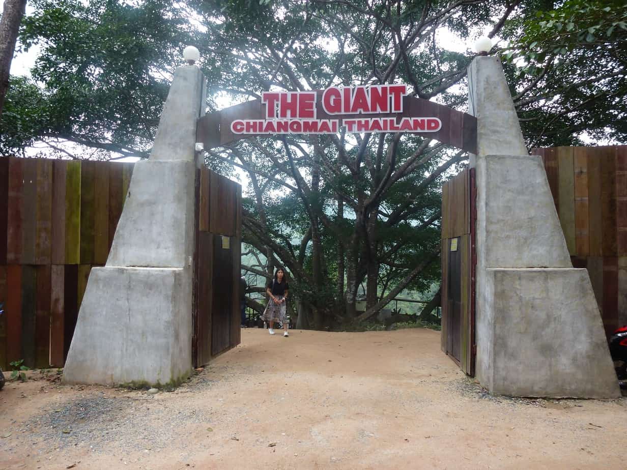 Chiang Mai: Ein reizvoller Ausflug zum The Giant