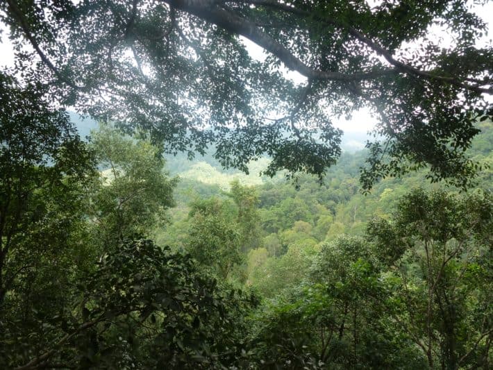 Chiang Mai: Ein reizvoller Ausflug zum The Giant