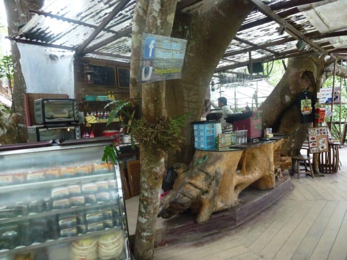 Chiang Mai: Ein reizvoller Ausflug zum The Giant