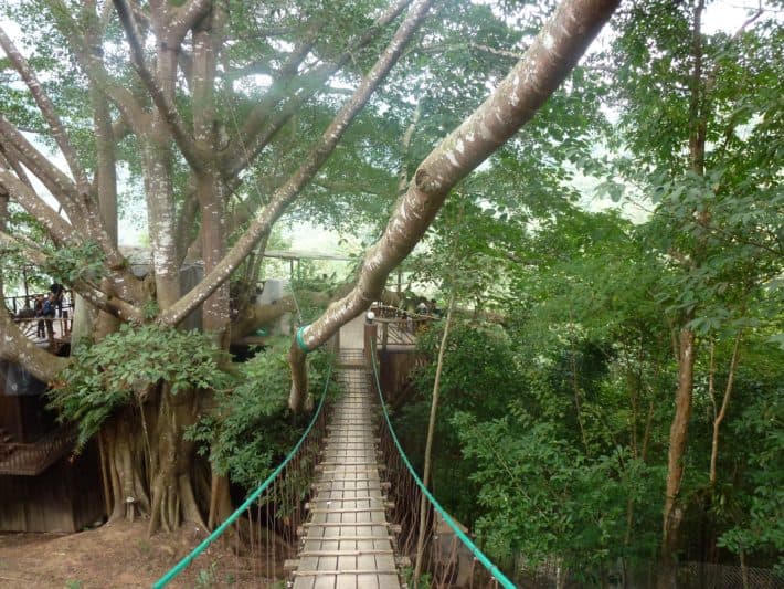 Chiang Mai: Ein reizvoller Ausflug zum The Giant