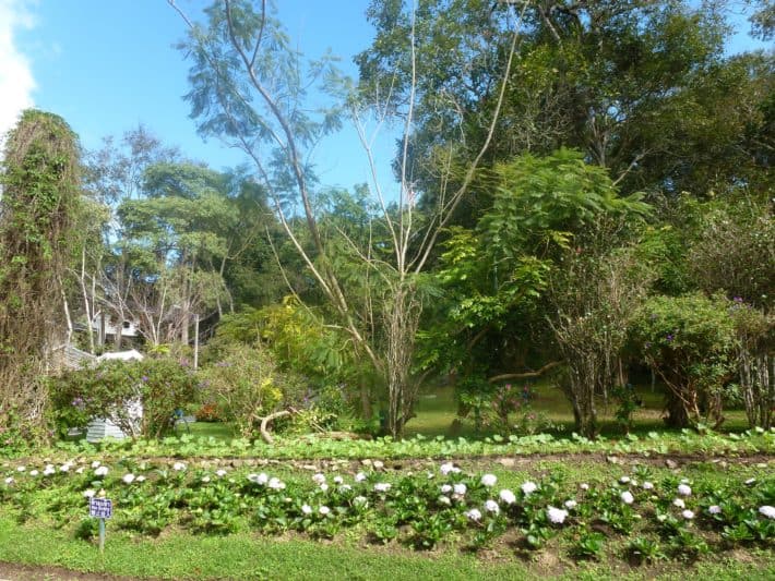 Doi Stulpe und Bhubing Palast Artikel