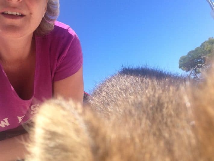 Rottnest Island
