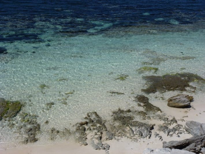 Rottnest Island 