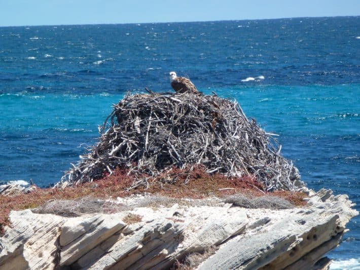 Rottnest Island