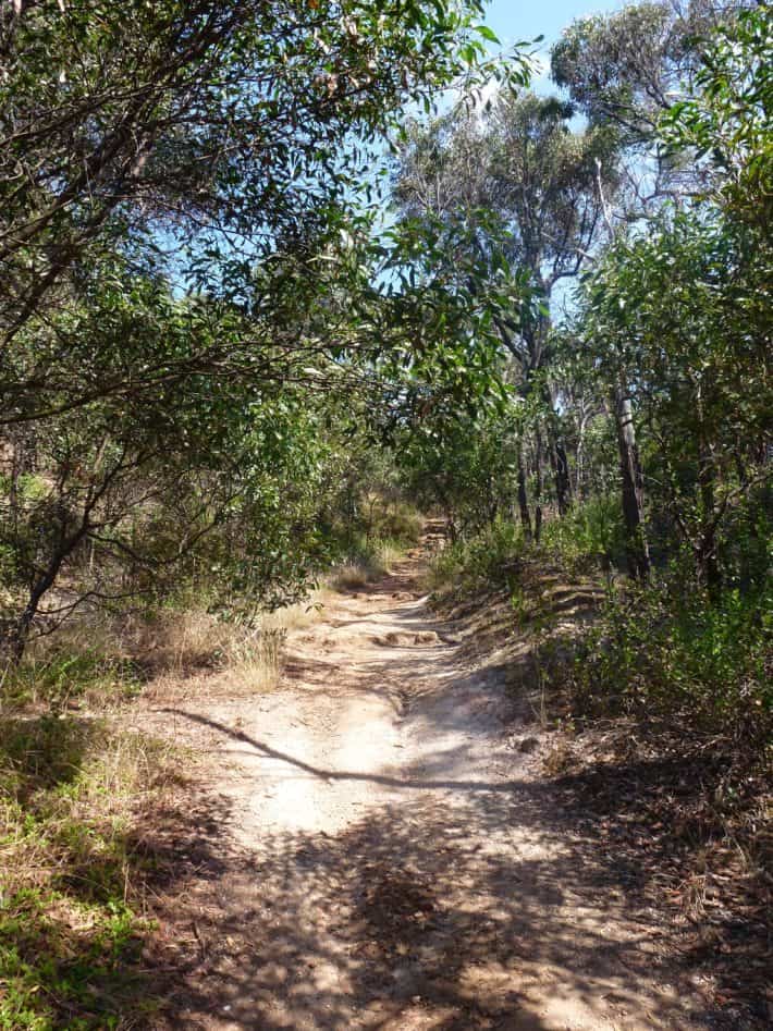 Roadtrip 2017: Geelong - Great Ocean Road - Teil 1