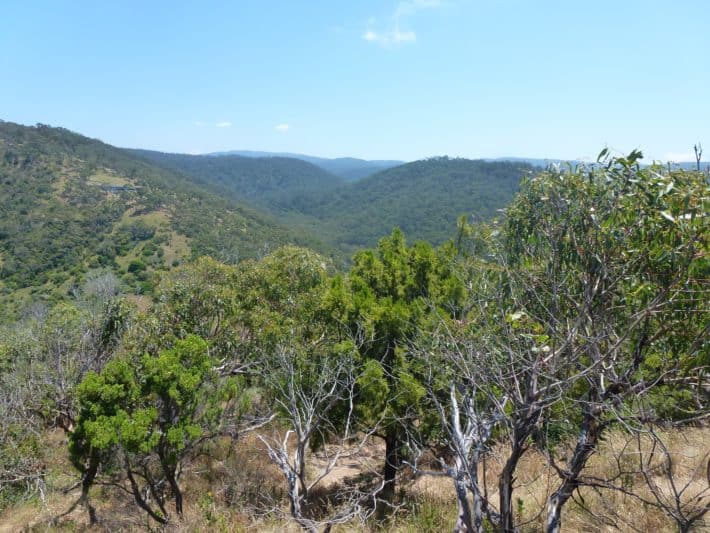 Roadtrip 2017: Geelong - Great Ocean Road - Teil 1