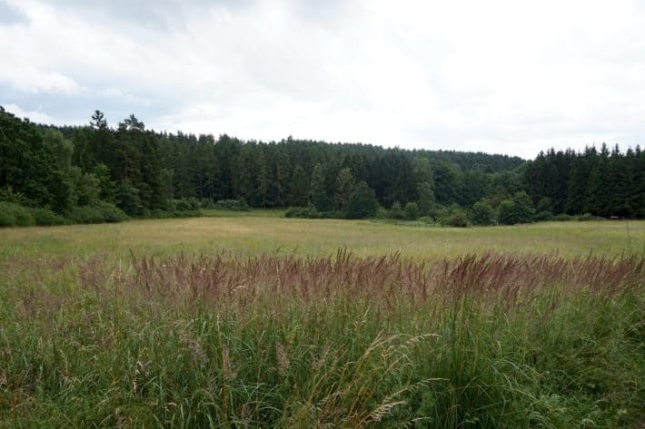 Pummpälzweg, Frankensiedlung vor etwa 1100 Jahren, Große Freifläche