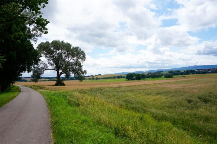 Pummpälzweg , Moorlandschaft