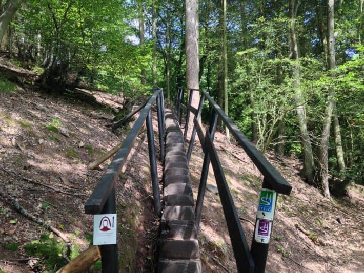 Hildegard von Bingen Pilgerwanderweg, 1. Etappe, Treppe mit Geländer mitten im Wald 