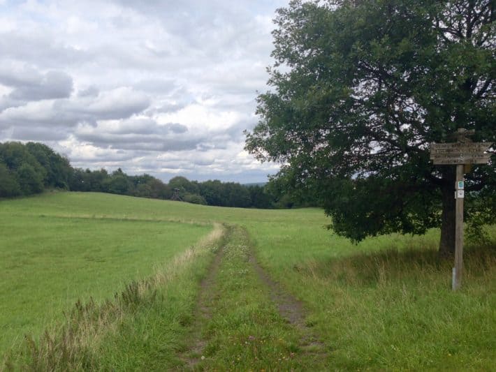 1. Tag Hildegard von Bingen Pilgerwanderweg, Wiesenweg, Gras, grün, Natur