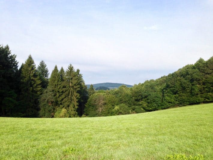 2. Etappe Hildegard von Bingen Pilgerwanderweg, Felder, Wiesen, Wälder, Berge, Natur 