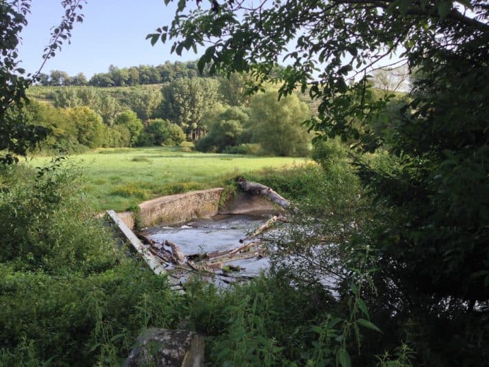 5. Etappe, Pilgerwanderweg, Natur, Fluss, Wiese, Baum, Blauer Himmel 