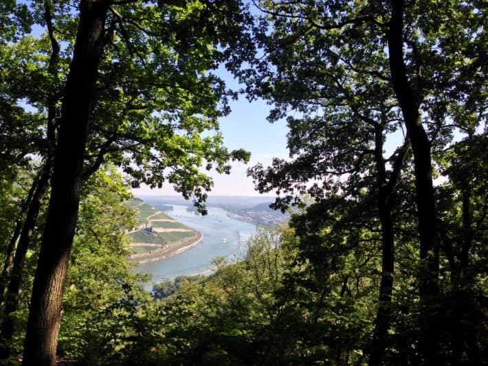 Hildegard von Bingen Pilgerwanderweg, 8. Etappe, Aussicht auf den Rhein