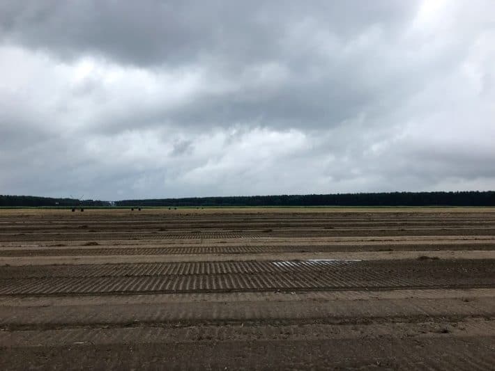 Feld, grauer Himmel, Regenwetter, 4. Etappe der Via Imperii