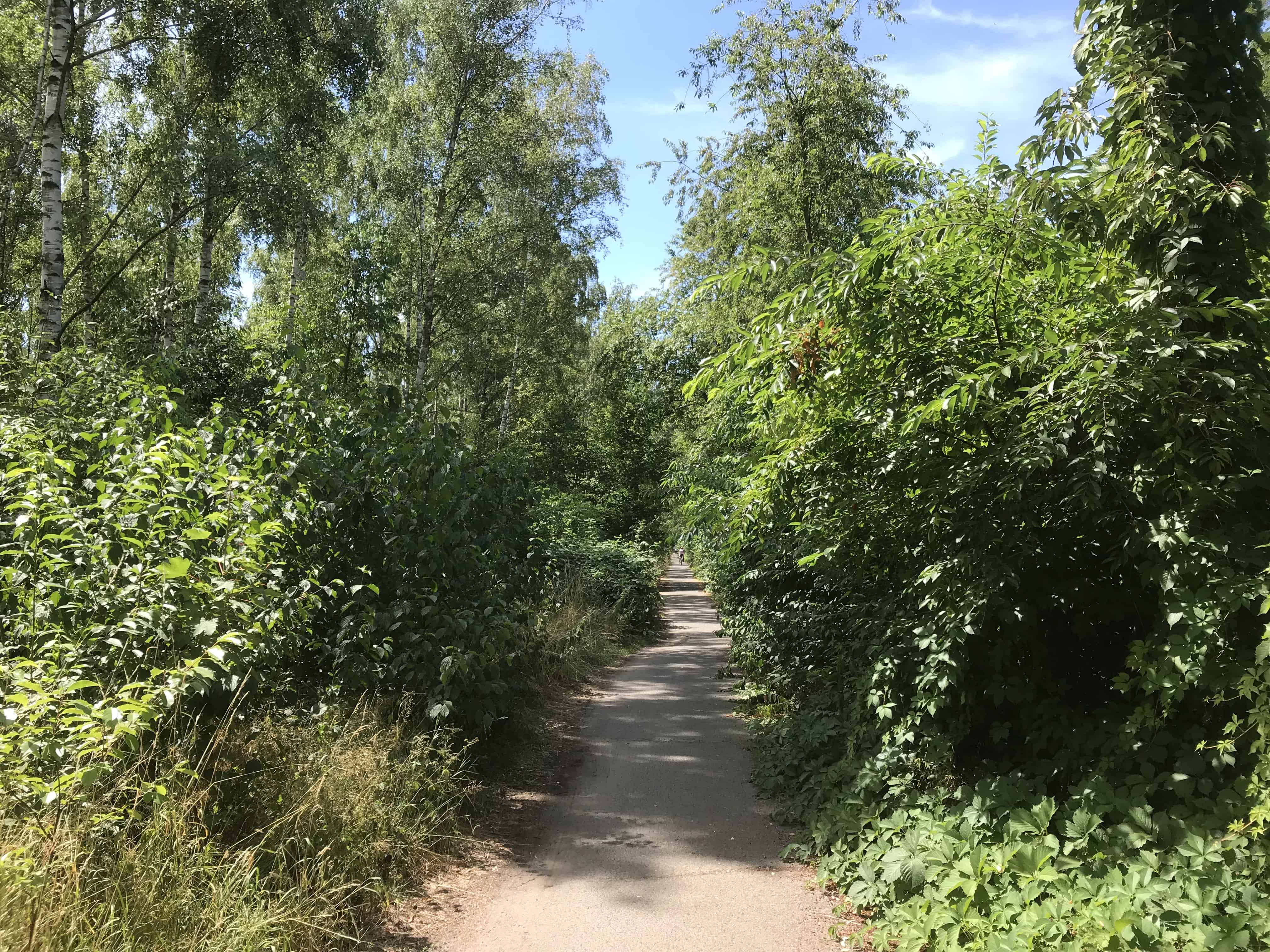 Wandrweg, grün, Natur, 1 Etappe der Via Imperii Berlin - Teltow