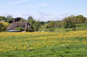 Landschaft-Angeln 