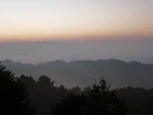 P1000222