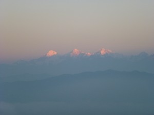 P1000228