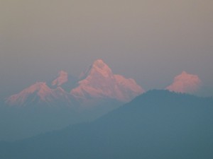 P1000229