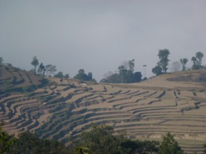 P1000242